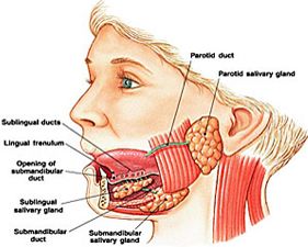 Treatment of Head and Neck Cancer